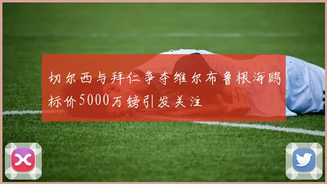 切尔西与拜仁争夺维尔布鲁根海鸥标价5000万镑引发关注