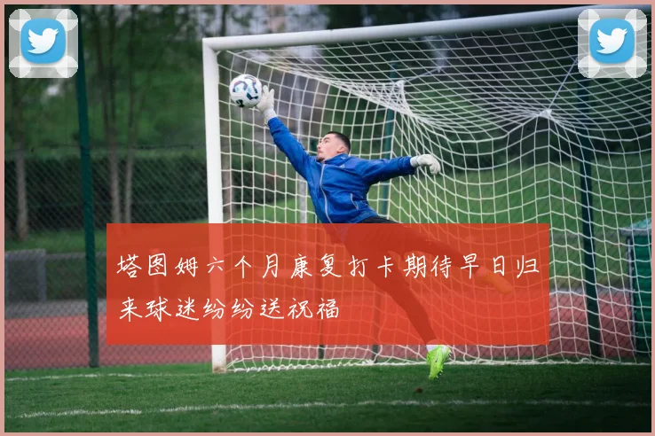 塔图姆六个月康复打卡期待早日归来球迷纷纷送祝福