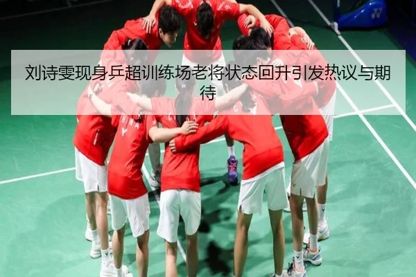 刘诗雯现身乒超训练场老将状态回升引发热议与期待